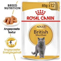 Royal Canin British Shorthair Adult Katzenfutter nass für Britisch Kur