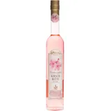 Fein-Brennerei Prinz Kirschblüten Likör 17% Vol. 0,5 l