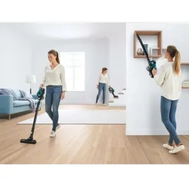 Bosch Unlimited Serie 6 BKS6111P