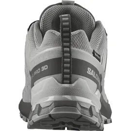 Salomon XA Pro 3D V9 GTX Damen Silber 38