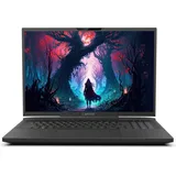 Captiva Highend Gaming I81-491 17,3" Core i9-14900HX 64 GB RAM 1 TB SSD RTX 4070
