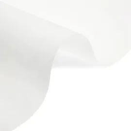 Wellhome Lichtdurchlässiger Rollo 160 x 180 cm weiß
