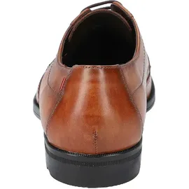 LLOYD Farley in Hazelnut, / 9 UK