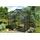 Vitavia Apollo 2500 Alu anthrazit HKP 4 mm 2,5 m² inkl. Fundament
