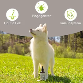 Wolfsbacher Natur Bio Schwarzkümmelöl kaltgepresst 100 ml
