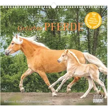 DuMont Buchverlag Geliebte Pferde 2027: Wandkalender 38x35,5 cm mit 12 Pferdefotografien von Christiane Slawik und 3-sprachigem Kalendarium