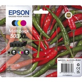 Epson 503XL CMYK C13T09R64010