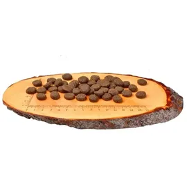 CARNILOVE Reindeer Adult 1,5 kg