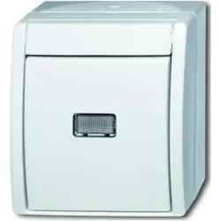 Busch-Jaeger Wipptaster,mit Beleuchtung 2621 WGL-54