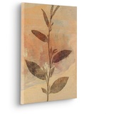KOMAR Keilrahmenbild im Echtholzrahmen - Pressed Leaves - Größe 30 x 40 cm - Wandbild, Kunstdruck, Wanddekoration, Design, Wohnzimmer, Schlafzimmer