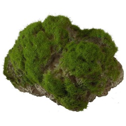 Europet-Bernina Aquariendeko Aquariumdekoration Stein mit Moos und Saugnapf