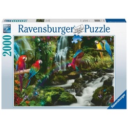Puzzle Ravensburger Bunte Papageien im Dschungel 2000 Teile
