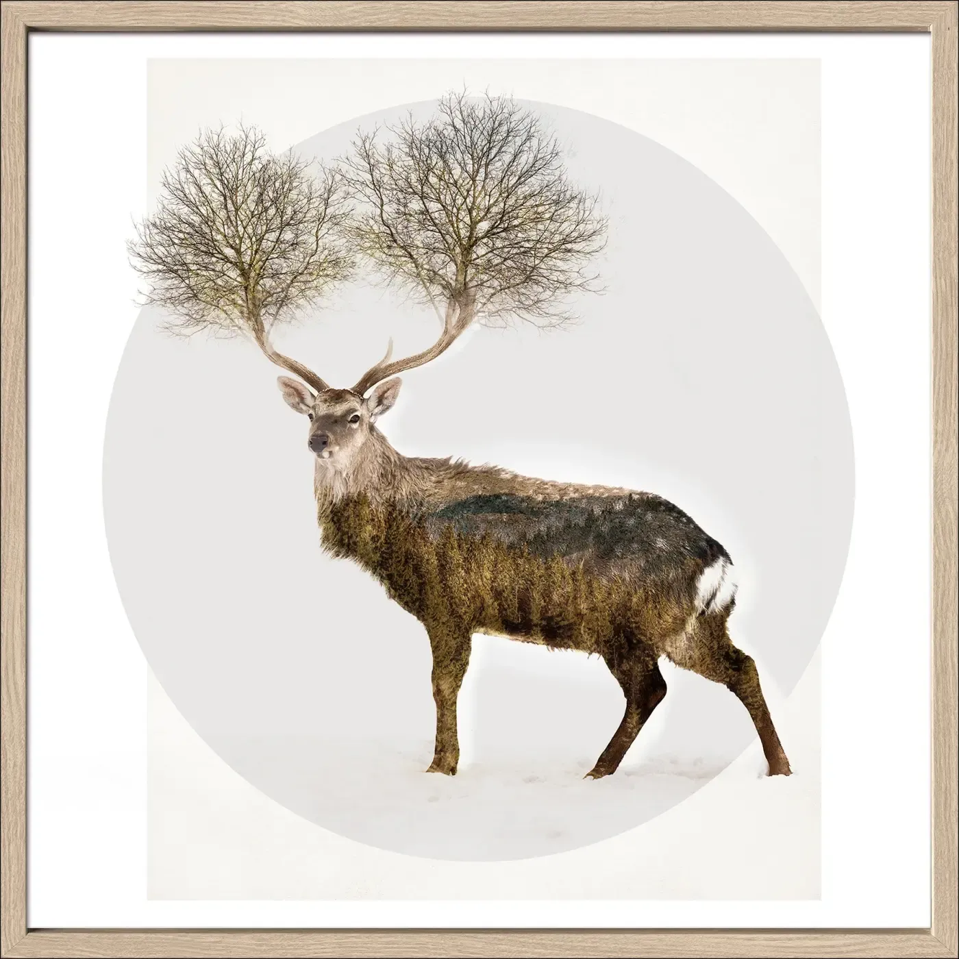 ProArt Kunstdruck, 55 x 55 cm Deer With Trees