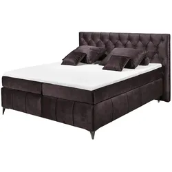 Kollektion Kraft Boxspringbett  Pembroke ¦ lila/violett ¦ Maße (cm): B: 200 H: 121