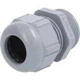 Lapp Zubehör Kabelverschraubung SKINTOP ST Pg21 R7001 SGY