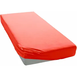 MY HOME Spannbettlaken Physalis Jersey 180 x 200 cm koralle