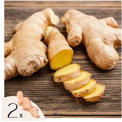 Plant in a Box - Ingwer - 2 Stk. - Ginger Officinale - Rhizome