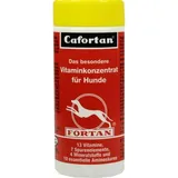Fortan Cafortan 90 g