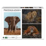 Ambassador Wildtiere Blickkontakt Donal Boyd (1000 Teile Puzzle