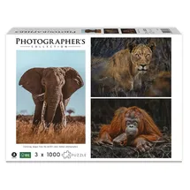 Ambassador Wildtiere Blickkontakt Donal Boyd (1000 Teile Puzzle
