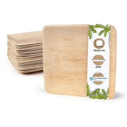 BIOZOYG 200 Stück Einwegteller 20x20cm Palmblatt-Teller, quadratisch, biologisch abbaubar, umweltfreundlich, kompostierbar, Wegwerfteller