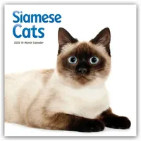Flechsig Verlag Siamese Cats – Siamesische Katzen – Siamkatzen