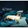 Trada Royal Boxspringbett 200x200 mit Bettkasten Bonell H3 mit Topper Grau - Grau