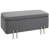 HOMCOM Sitzbank mit Stauraum-100B x 40T x 42H cm-Dunkelgrau | Gr.: onesize