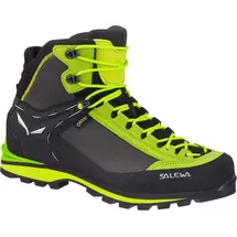 Salewa Crow GTX Herren Cactus/Sulphur Spring 45
