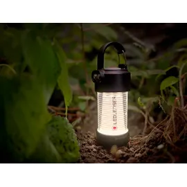 Ledlenser ML4 Warm Light