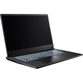 Captiva Advanced Gaming I94-368GE 17,3'' Intel Core i7-13620H 32 GB RAM 1 TB SSD RTX 5070 Win 11 Home