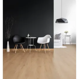 Schöner Wohnen Trendfarbe 2,5 l new black matt