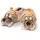 NICI Walross Walbo Wabbel Beige/Orange 38