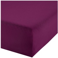 Erwin Müller Boxspringbett-Spannbettlaken Freising Elasthan-Jersey-Stretch aubergine Größe 90x190-100x220 cm- dehnbar, antipilling, bügelfrei, Rundumgummi (weitere Farben,Größen)