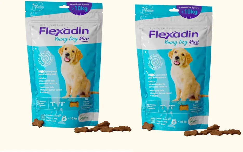 VETOQUINOL Flexadin Young Dog Maxi 2x60 Kapseln