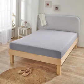BettwarenShop Spannbettlaken Jersey-Elasthan 120 x 200 - 130 x 220 cm grau