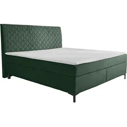 Boxspringbett ALINA "Petro", grün (opalgrün dmo, dmk 123), B:162cm L:215cm, Samt DMO (100% Polyester), Samt DMK (100% Polyester), Komplettbetten, Boxspringbett, inklusive Matratze und Topper, in diversen Ausführungen