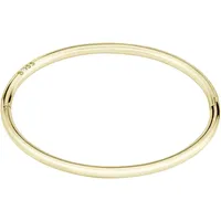 Boss LIVE Armreif goldfarben Edelstahl 1580686 Größe 17 cm