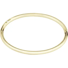 Boss LIVE Armreif goldfarben Edelstahl 1580686 Größe 17 cm