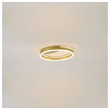 s.luce LED Ring Wandlampe & Deckenleuchte Dimmbar modern rund