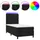 vidaXL Boxspringbett 100 x 200 cm Schwarz