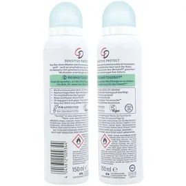 CD Sensitive Protect Deo Spray 0% Alkohol 48h Schutz 150 ml