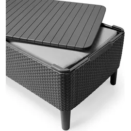 ALLIBERT Salemo Graphitgrau 236629