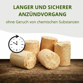 Floranica Holzbriketts 12,5 kg