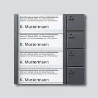 Siedle TM 612-4 DG Tasten-Modul