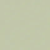 Joules Vliestapete Uni 52 cm x 10 m 0 g Grün