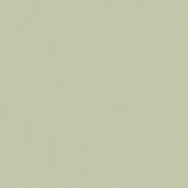 Joules Vliestapete Uni 52 cm x 10 m 0 g Grün