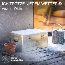 Trucky Aluminium Aufbewahrungsbox 50 l 1-tlg. silber