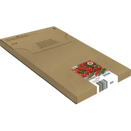 Epson 503 CMYK (C13T09Q64510)