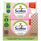 Scottex Sensitive Feuchtes Toilettenpapier, 38 Services (38 Services x 12 Packungen, insgesamt 456 Leistungen)